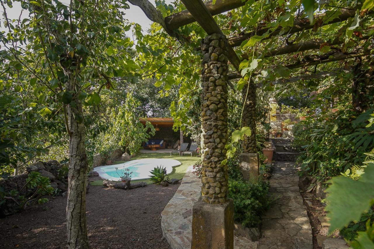Dom wakacyjny Matos Pool And Garden